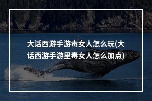 大话西游手游毒女人怎么玩(大话西游手游里毒女人怎么加点)