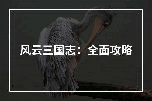 风云三国志：全面攻略