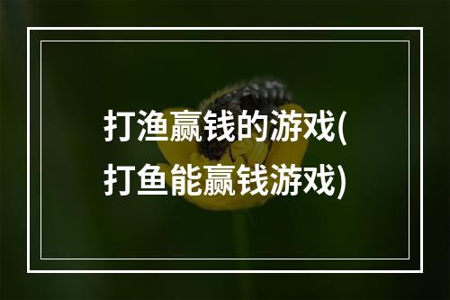 打渔赢钱的游戏(打鱼能赢钱游戏)