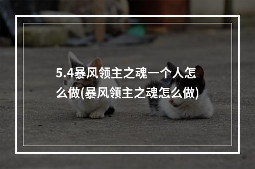 5.4暴风领主之魂一个人怎么做(暴风领主之魂怎么做)