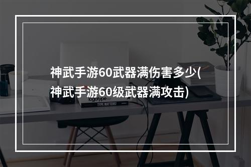 神武手游60武器满伤害多少(神武手游60级武器满攻击)