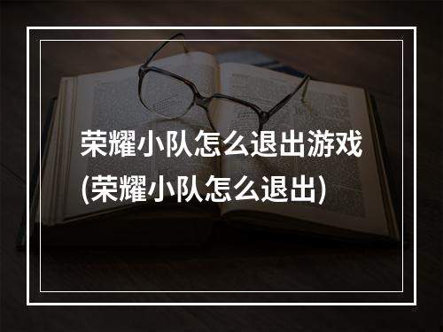 荣耀小队怎么退出游戏(荣耀小队怎么退出)