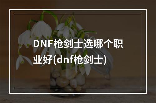 DNF枪剑士选哪个职业好(dnf枪剑士)