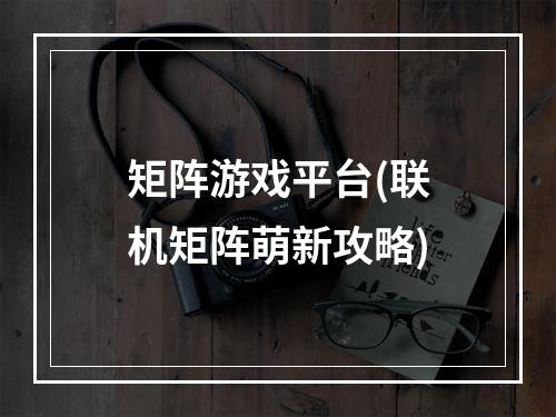 矩阵游戏平台(联机矩阵萌新攻略)