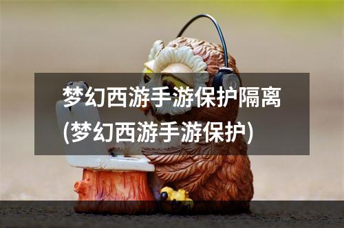 梦幻西游手游保护隔离(梦幻西游手游保护)