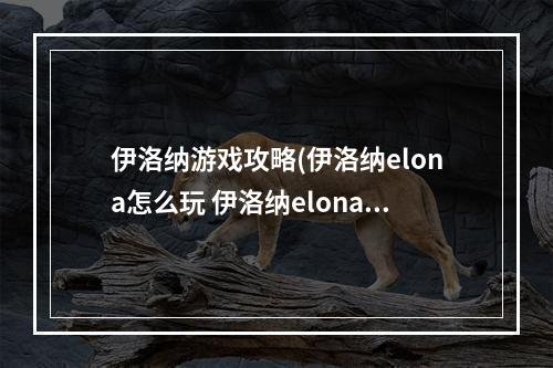 伊洛纳游戏攻略(伊洛纳elona怎么玩 伊洛纳elona新手攻略)