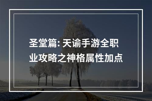 圣堂篇: 天谕手游全职业攻略之神格属性加点