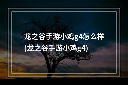 龙之谷手游小鸡g4怎么样(龙之谷手游小鸡g4)