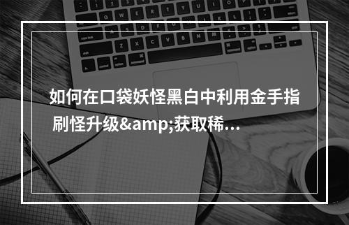 如何在口袋妖怪黑白中利用金手指 刷怪升级&获取稀有宝可梦宝可梦大圣(金龙鱼)