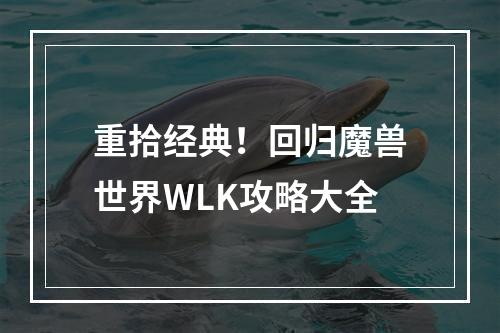 重拾经典！回归魔兽世界WLK攻略大全