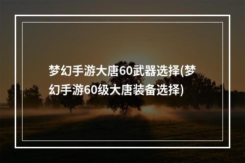 梦幻手游大唐60武器选择(梦幻手游60级大唐装备选择)