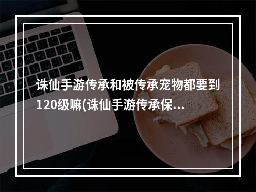 诛仙手游传承和被传承宠物都要到120级嘛(诛仙手游传承保留雕琢)