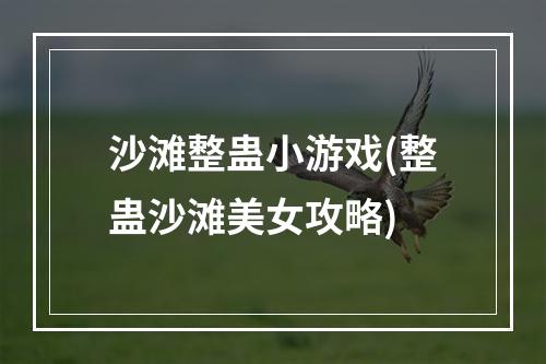 沙滩整蛊小游戏(整蛊沙滩美女攻略)