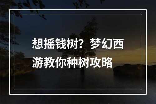 想摇钱树？梦幻西游教你种树攻略