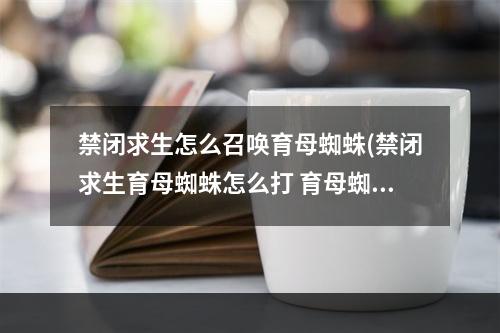 禁闭求生怎么召唤育母蜘蛛(禁闭求生育母蜘蛛怎么打 育母蜘蛛击杀攻略 )