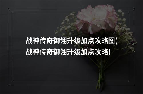 战神传奇御翎升级加点攻略图(战神传奇御翎升级加点攻略)