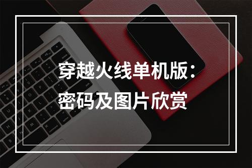 穿越火线单机版：密码及图片欣赏