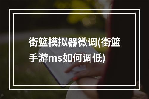 街篮模拟器微调(街篮手游ms如何调低)