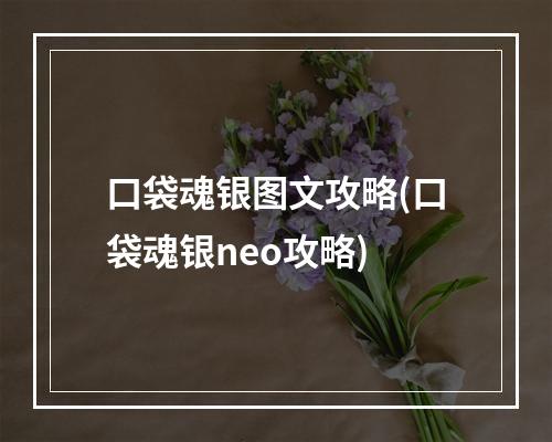 口袋魂银图文攻略(口袋魂银neo攻略)