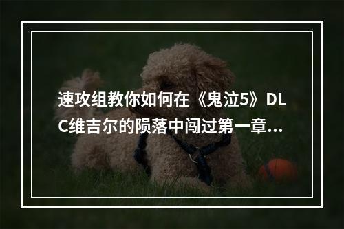 速攻组教你如何在《鬼泣5》DLC维吉尔的陨落中闯过第一章地狱地狱入口攻略(从门外走到门内！速攻组攻克《鬼泣5》DLC维吉尔的陨落第一章地狱终极大招)