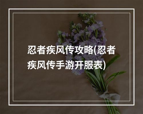 忍者疾风传攻略(忍者疾风传手游开服表)