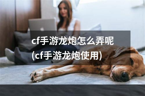 cf手游龙炮怎么弄呢(cf手游龙炮使用)