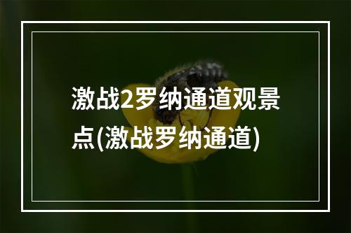 激战2罗纳通道观景点(激战罗纳通道)