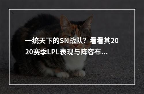 一统天下的SN战队？看看其2020赛季LPL表现与阵容布置(战略分析)