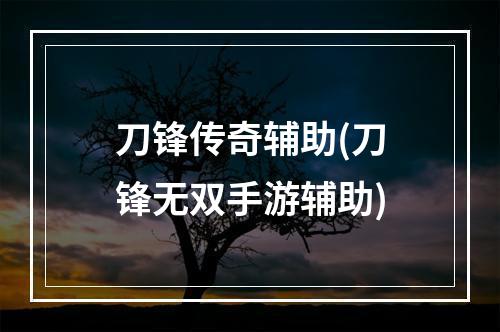 刀锋传奇辅助(刀锋无双手游辅助)