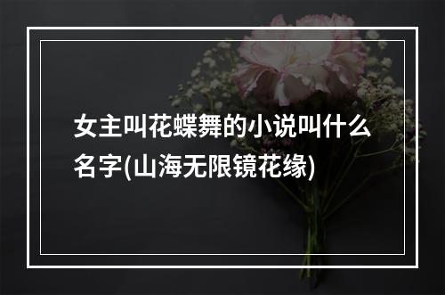 女主叫花蝶舞的小说叫什么名字(山海无限镜花缘)