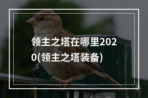 领主之塔在哪里2020(领主之塔装备)