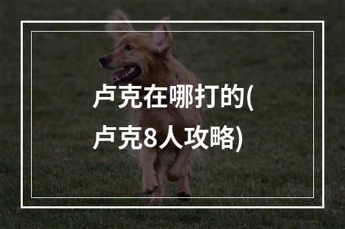 卢克在哪打的(卢克8人攻略)