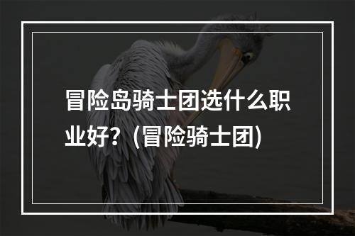 冒险岛骑士团选什么职业好？(冒险骑士团)