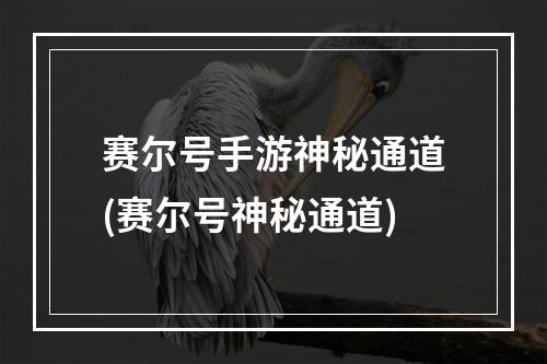 赛尔号手游神秘通道(赛尔号神秘通道)