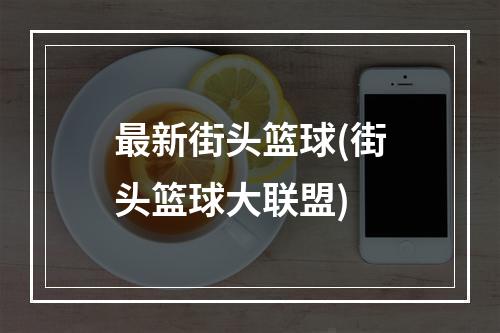 最新街头篮球(街头篮球大联盟)