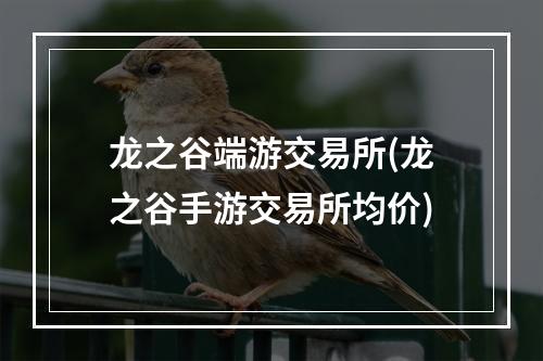 龙之谷端游交易所(龙之谷手游交易所均价)