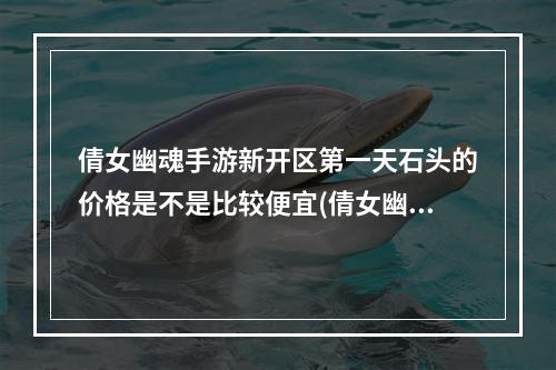 倩女幽魂手游新开区第一天石头的价格是不是比较便宜(倩女幽魂手游新开的区)