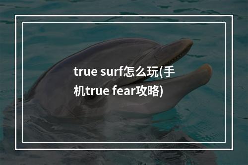 true surf怎么玩(手机true fear攻略)