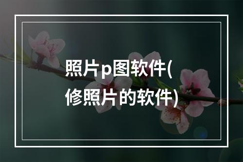 照片p图软件(修照片的软件)