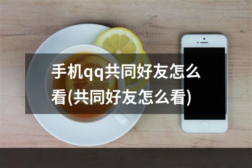 手机qq共同好友怎么看(共同好友怎么看)