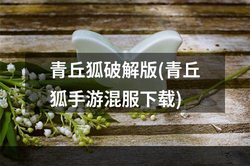 青丘狐破解版(青丘狐手游混服下载)