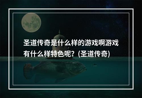 圣道传奇是什么样的游戏啊游戏有什么样特色呢？(圣道传奇)