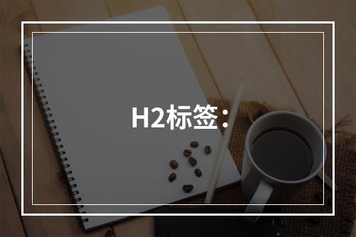 H2标签：