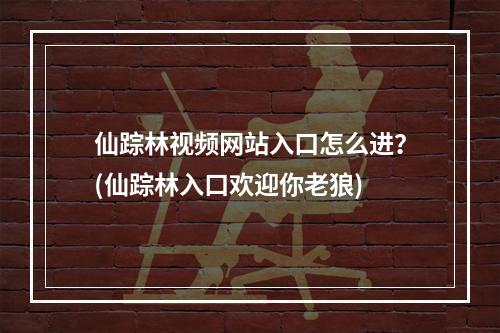 仙踪林视频网站入口怎么进？(仙踪林入口欢迎你老狼)