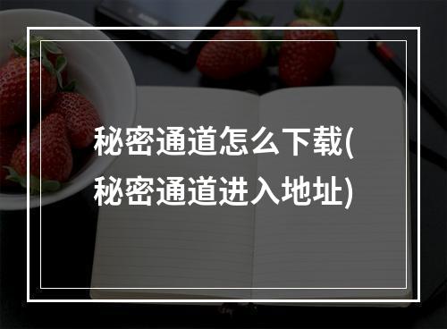 秘密通道怎么下载(秘密通道进入地址)