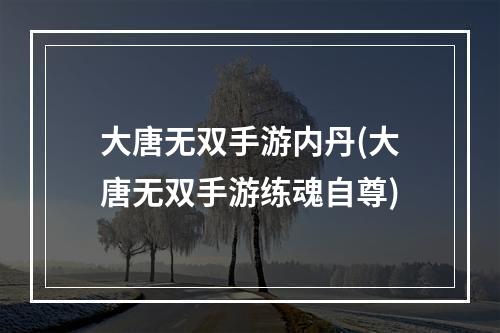 大唐无双手游内丹(大唐无双手游练魂自尊)