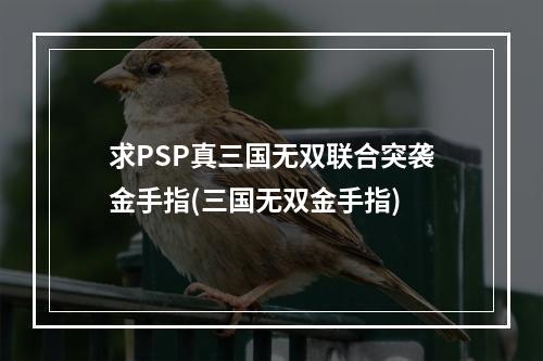 求PSP真三国无双联合突袭金手指(三国无双金手指)