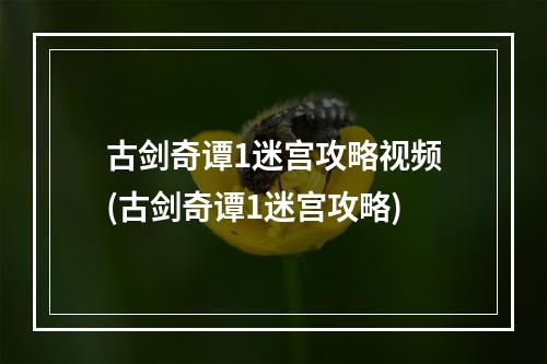 古剑奇谭1迷宫攻略视频(古剑奇谭1迷宫攻略)