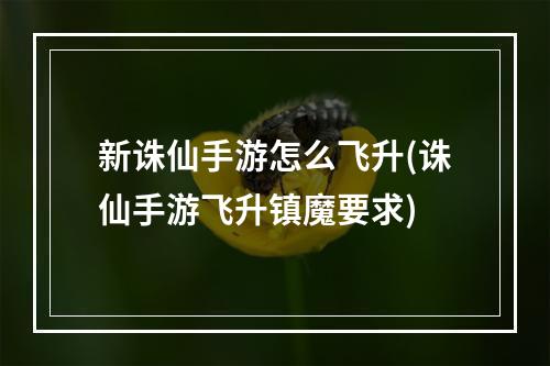 新诛仙手游怎么飞升(诛仙手游飞升镇魔要求)