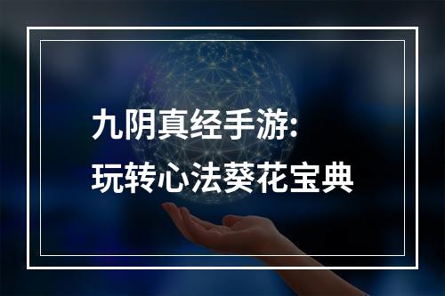 九阴真经手游: 玩转心法葵花宝典